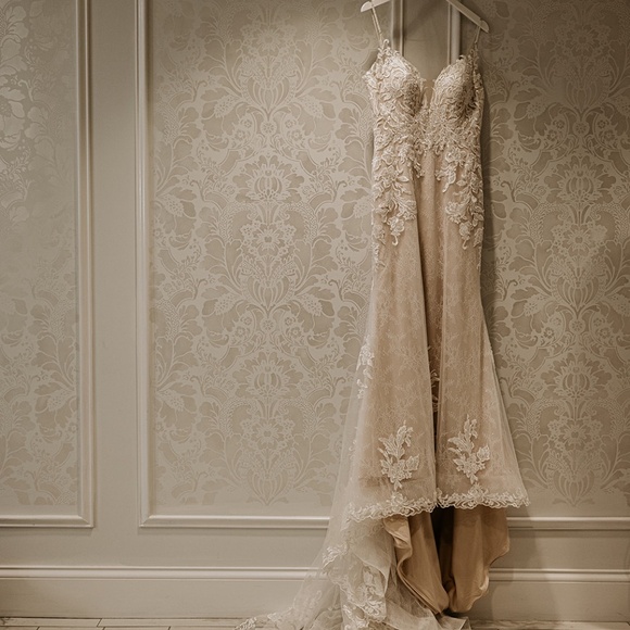 Moonlight Wedding Dress - Picture 1 of 3